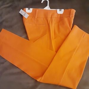 Tangerine crop pants